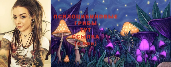экстази Алексеевка