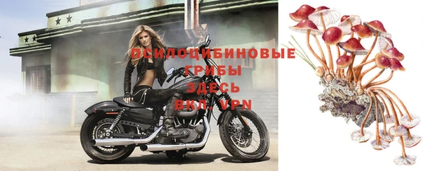 экстази Алексеевка