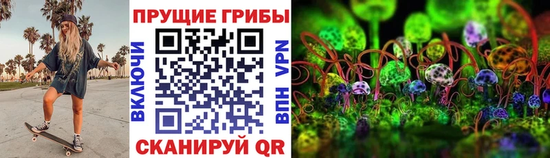 Галлюциногенные грибы ЛСД  кракен   Оса  где купить  
